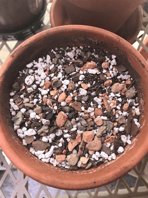 cactus soil mix ratio|How to Make Cactus Soil: Essential Tips for the Perfect Desert Mix.